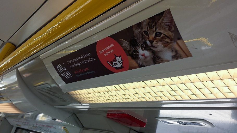 Innenwerbung-Bahn-Katzensitter